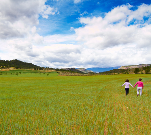 Agricultura ecológica El Cantero de Letur