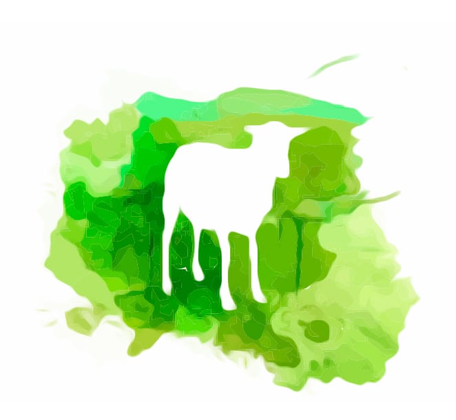 leche-ecologica-de-cabra